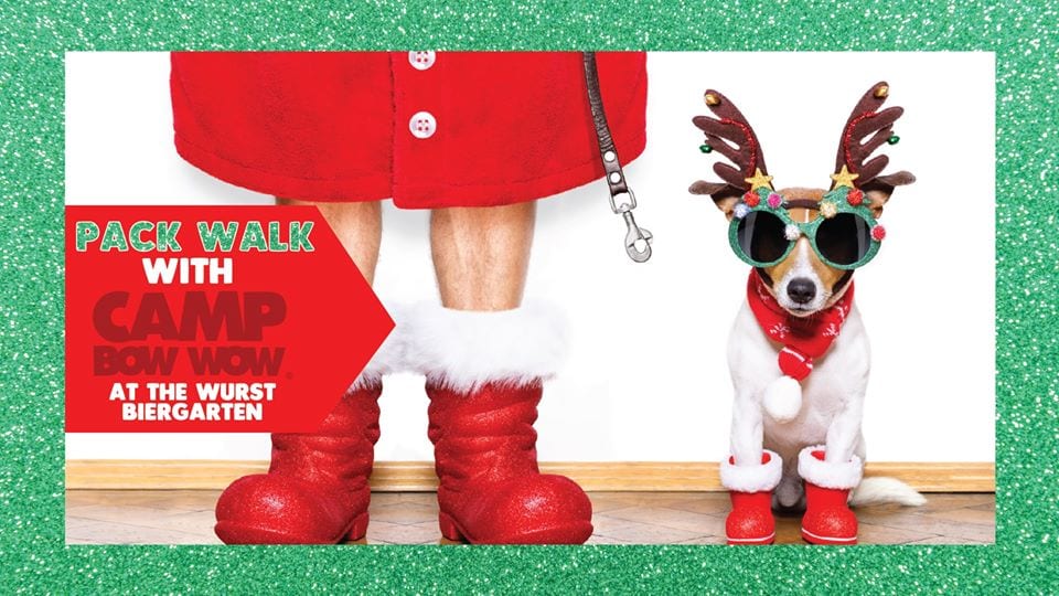 Dog with reindeer ears and Christmas sunglasses